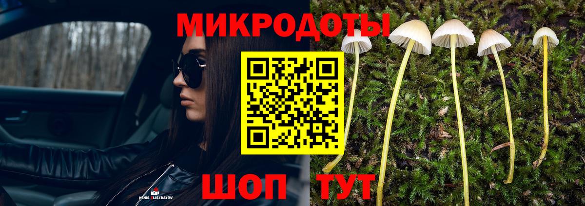 Галлюциногенные грибы MAGIC MUSHROOMS  Вход с VPN  дарнет шоп  Нефтекумск  Псилоцибиновые грибы Cubensis 