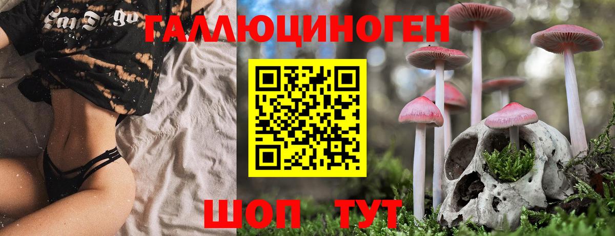 Галлюциногенные грибы MAGIC MUSHROOMS Нефтекумск